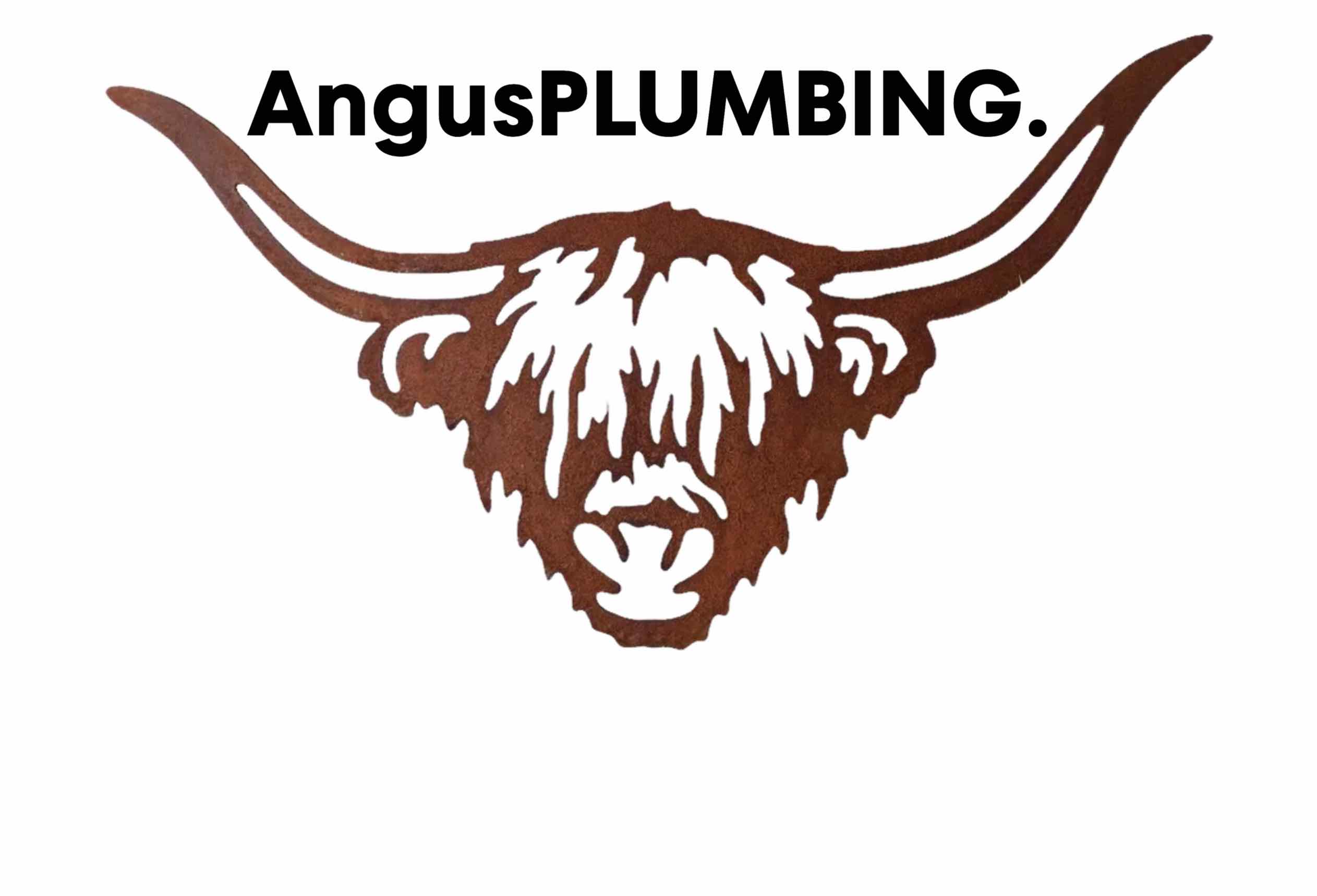 AngusPLUMBING -Logo -Caversham's local plumber