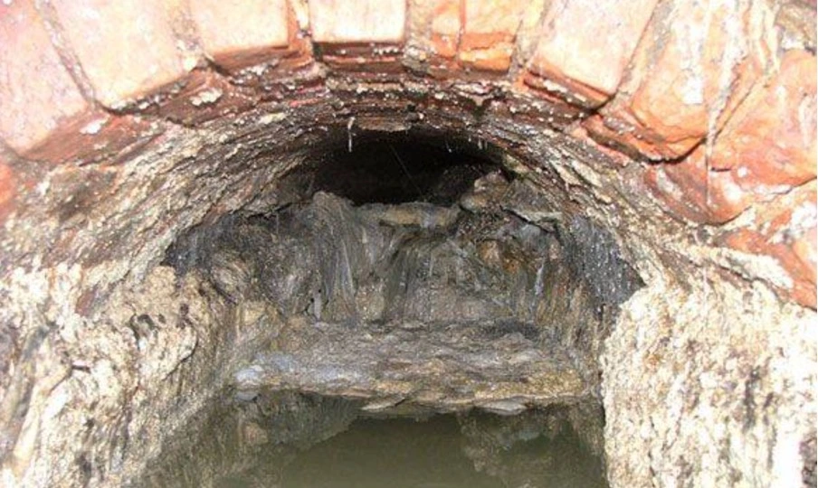 Fatburg found in Thames Water sewerage pipes